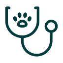 stethoscope